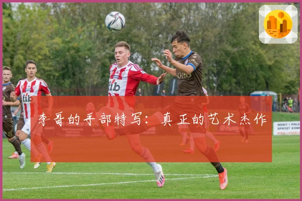 李哥的手部特写：真正的艺术杰作